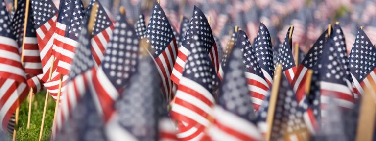 field of american flags